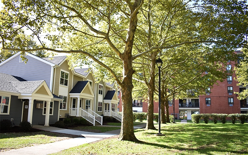 Oxford Place and Gardens walkway