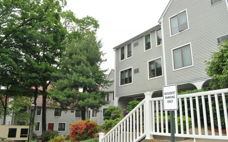 Machado House exterior and trees