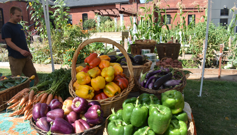 Billings Forge Community Garden