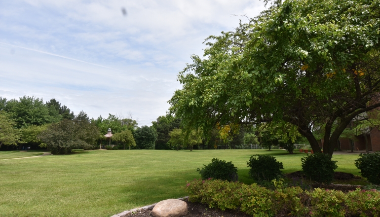 920 On the Park grounds