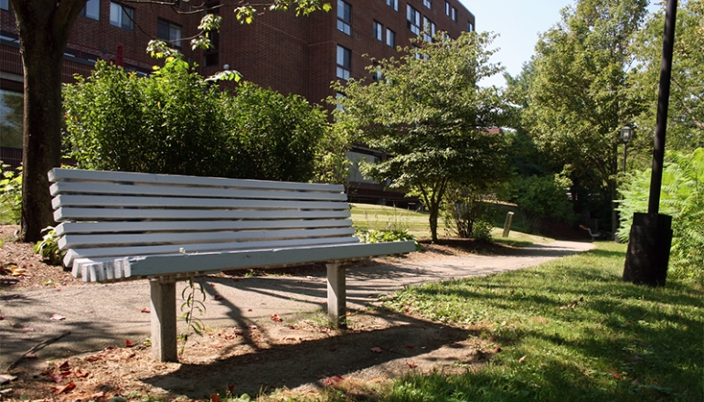 Cocheco Park bench and grounds