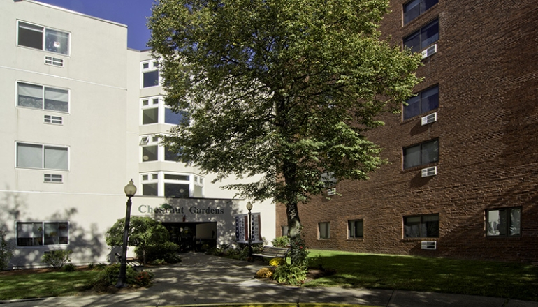 Chestnut Gardens tree