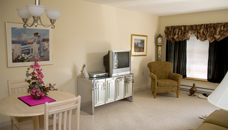 Bridle Path unit living room
